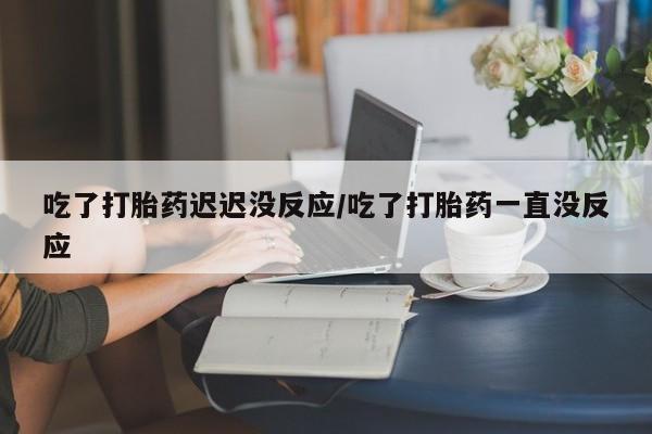 网上米索前列醇在线下单吃了打胎药迟迟没反应/吃了打胎药一直没反应