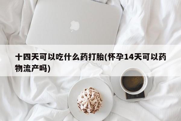 网上米索前列醇在线下单十四天可以吃什么药打胎(怀孕14天可以药物流产吗)